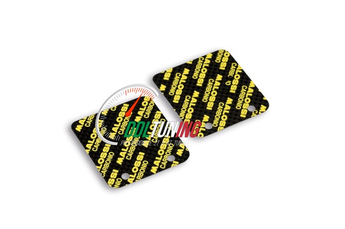 MEMBRAANPLAATSET VL14 MINARELLI HOR CARBON MALOSSI 2711796.C0