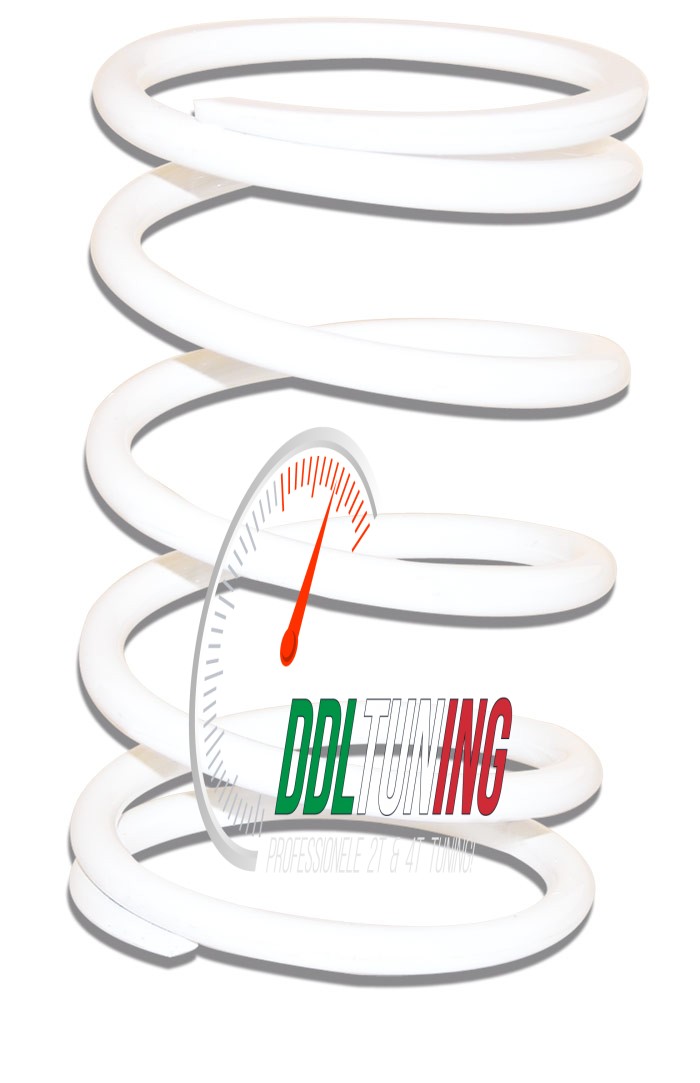 KOPP.DRUKVEER MINARELLI HOR+VERT 3.8 WIT MALOSSI 297047.W0