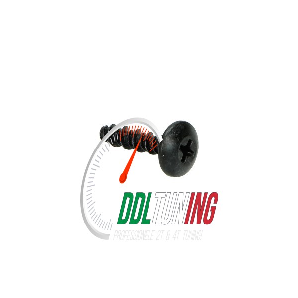 SCHROEF D3X16 PIAG ORIG 270793