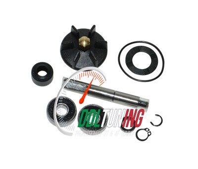 WATERPOMP REVISIE SET PIAGGIO 2T