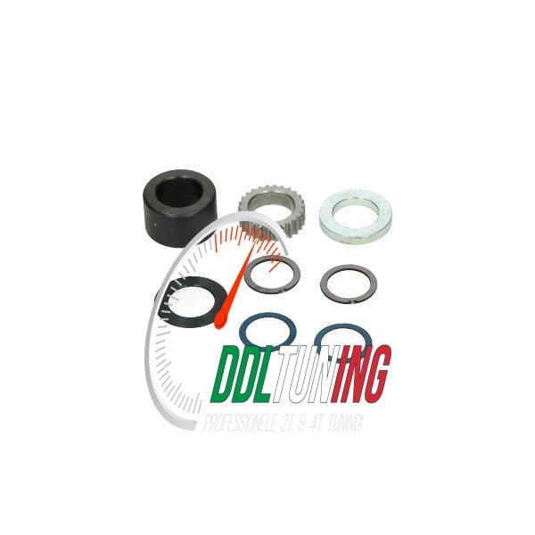 AANDRIJFTANDWIEL OLIEPOMP SET PIAGGIO 2T OP KRUKAS POLINI 274.0003