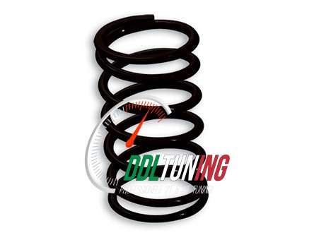 KOPP.DRUKVEER PIAGGIO 50 ZWART MALOSSI 2916111.B0