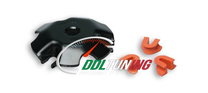 VARIORAMPLAAT PIAGGIO 2T MALOSSI MHR 258067B