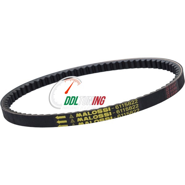 V-SNAAR KEVLAR OVERRANGE MINARELLI HOR MALOSSI 6115822