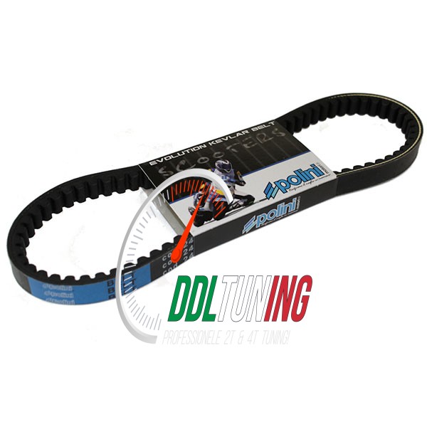 V-SNAAR LANG OVERRANGE MINARELLI HOR+VERT POLINI 248.040.2