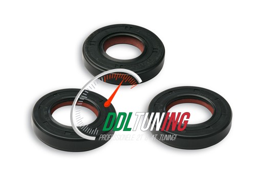 KEERRINGSET DERBI GPR /SENDA/ GILERA ZULU MALOSSI 6615753