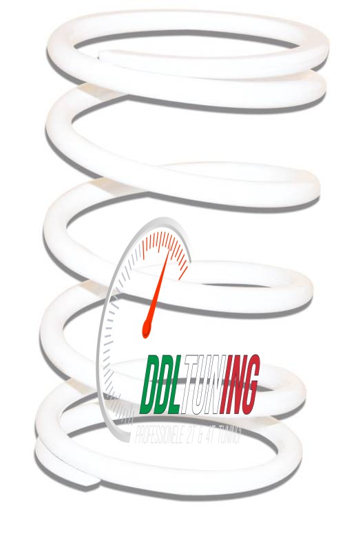 KOPP.DRUKVEER GILERA RUNNER 125/ RUNNER 180 WIT MALOSSI 2911478.W0