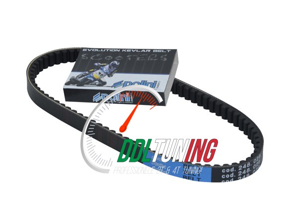 V-SNAAR KEVLAR PIAGGIO LANG NRG/ RUNNER/ STALKER POLINI 248.029