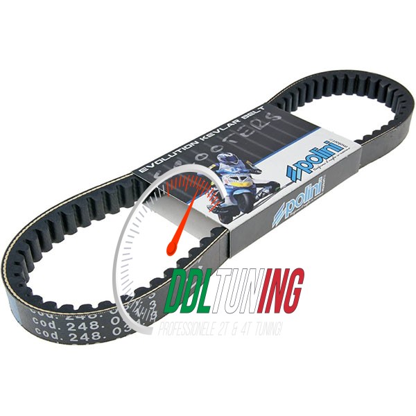 V-SNAAR PIAGGIO KORT OVERRANGE POLINI 248.031.3