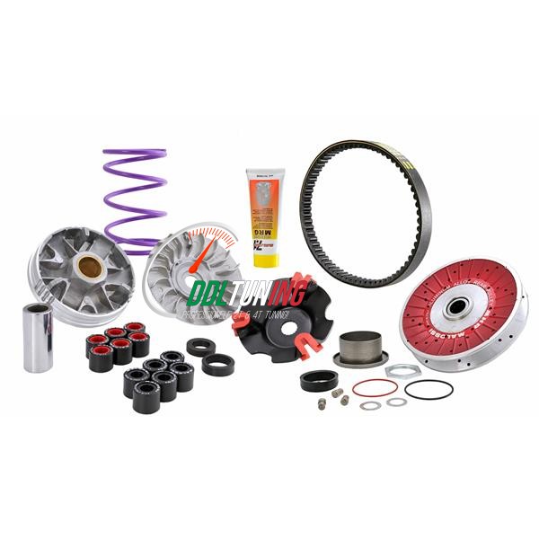 OVERRANGE SYSTEEM ALUMINIUM PIAGGIO ZIP SP2000/ VESPA LX MALOSSI 6115780