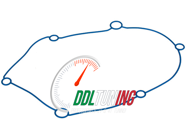 O-RING TRANSMISSIEDEKSEL POLINI EVO MINARELLI