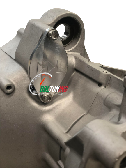 DDL TUNING AFDEKPLAAT STARTMOTOR MINARELLI HORI-VERT