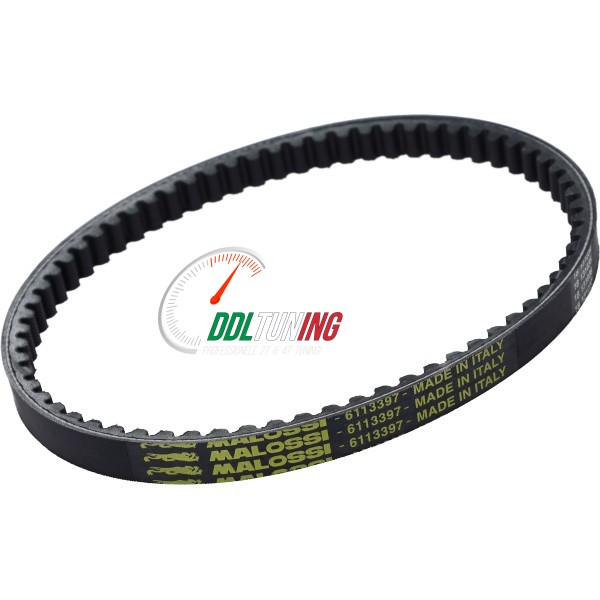 V-SNAAR GY6/ 10 INCH MALOSSI 6113397