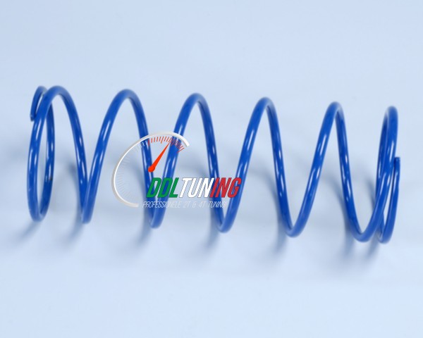 DRUKVEER -10% RUNNER 180CC 2T BLAUW POLINI 243.081