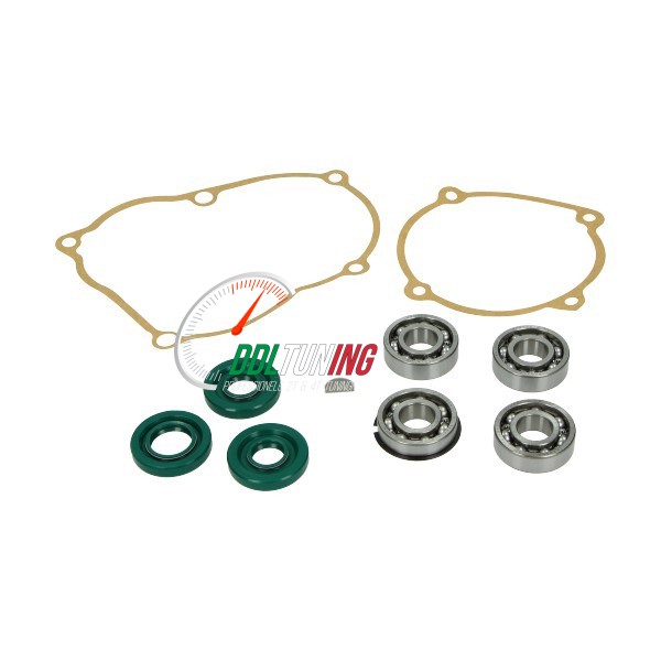 LAGER + KEERRINGSET COMPLETE MOTOR PUCH MAXI DMP 10-DELIG