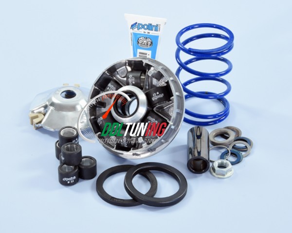 VARIOKIT + VEER MINARELLI HORIZONTAAL 19X15.5MM POLINI 241.752 HI-SPEED EVOLUTION 2