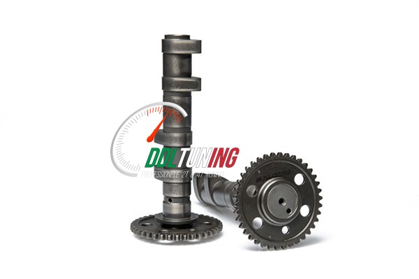 NOKKENAS YAMAHA T-MAX EURO 5 560CC MALOSSI 5919140